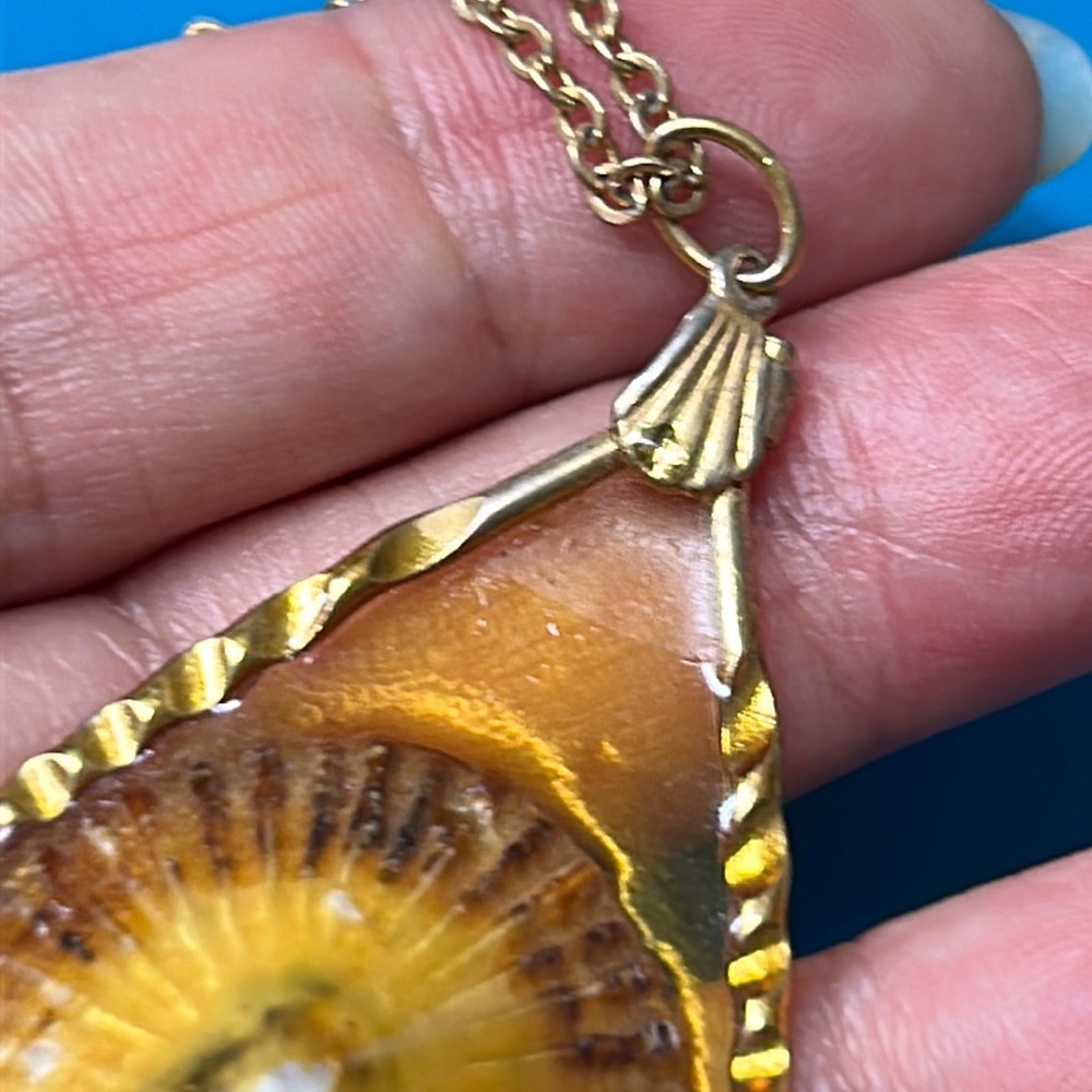 🖤Vtg Hawaiian Opihi shell pendant necklace - Picture 8 of 13